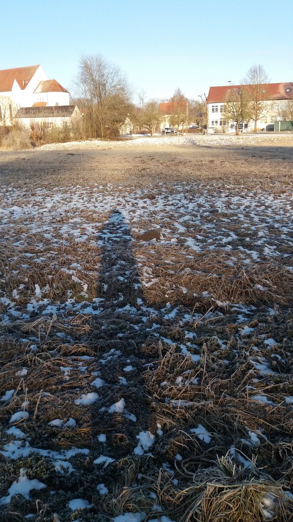 20260127_090604.jpg