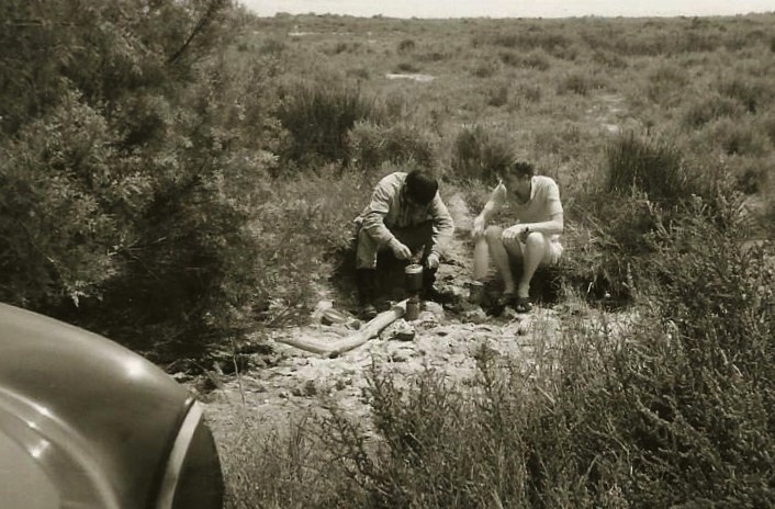 1969 in der Carmargue  .jpg