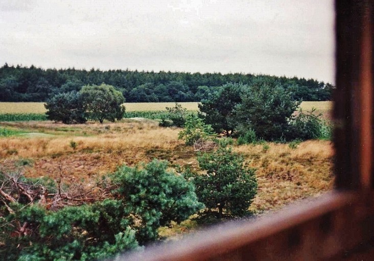 Blick von der Kanzel ins Revier.jpg
