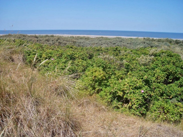 Blick aufs Meer.jpg