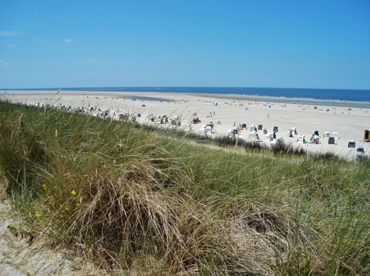 Strand von Spiekeroog.jpg
