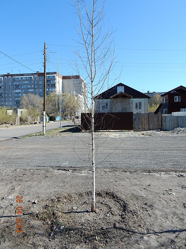 DSCN0959.JPG