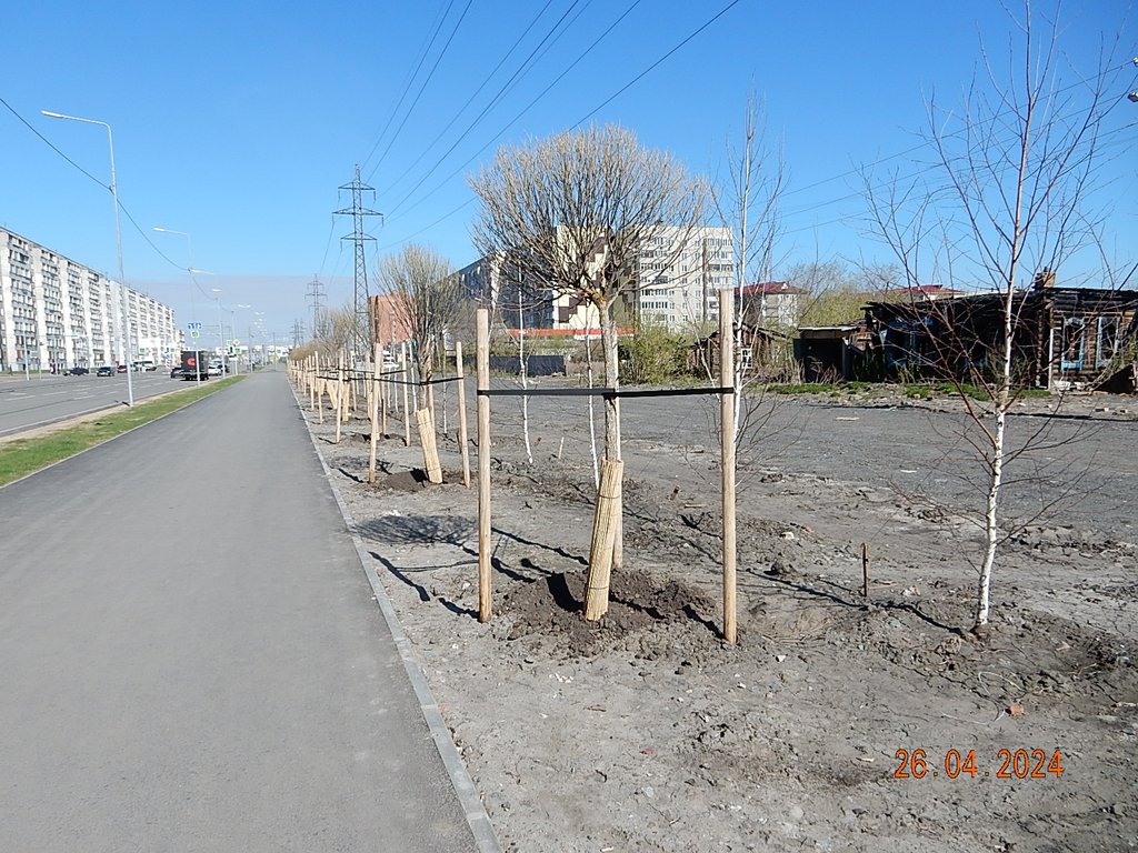 DSCN0961.JPG
