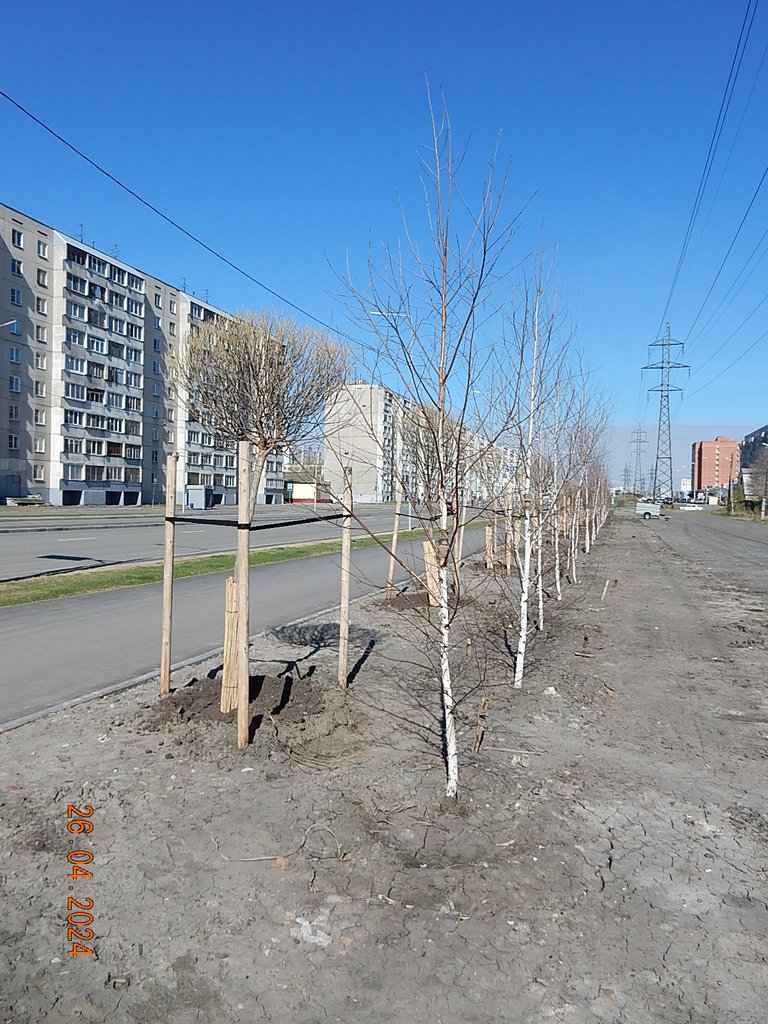 DSCN0962.JPG