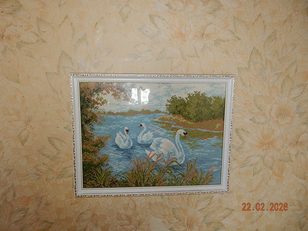 DSCN3050.JPG