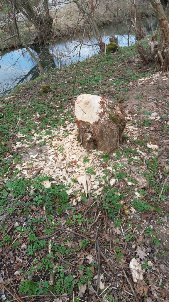20260324_130127.jpg