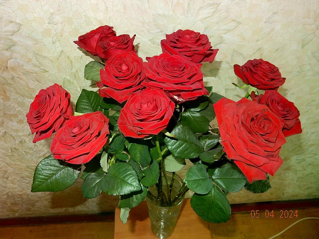 я57.jpg