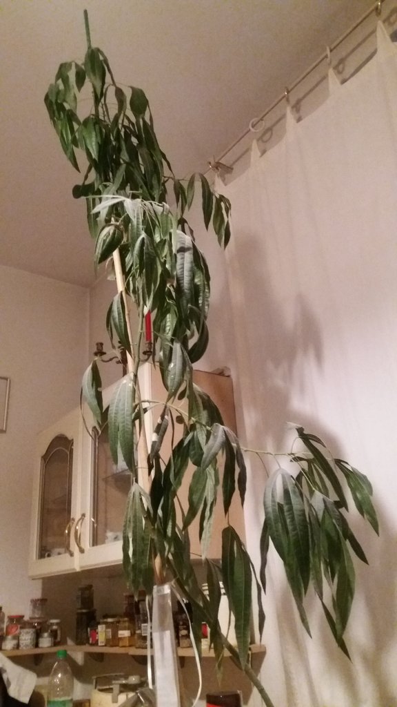 20260320_074008.jpg