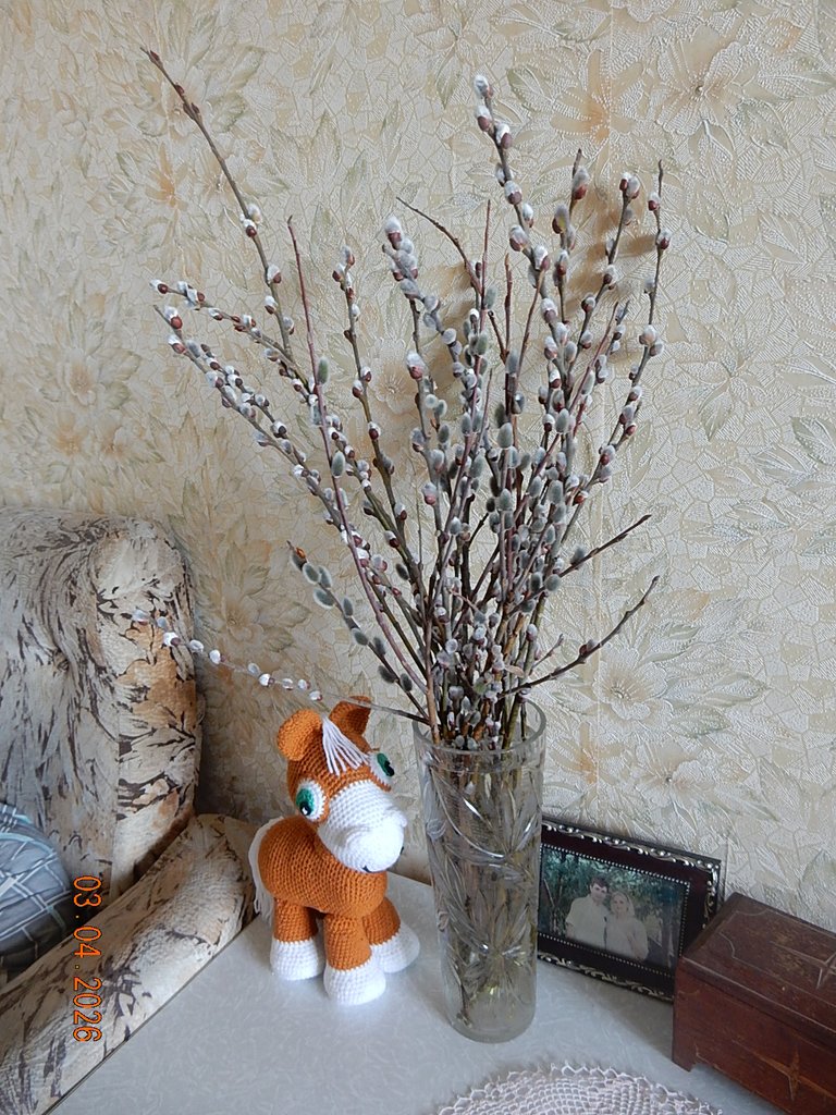 DSCN3186.JPG