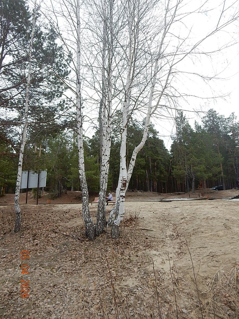 DSCN3194.JPG