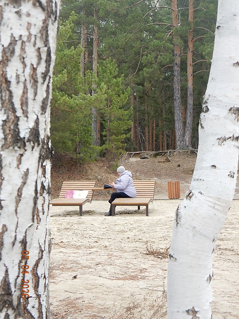 DSCN3195.JPG