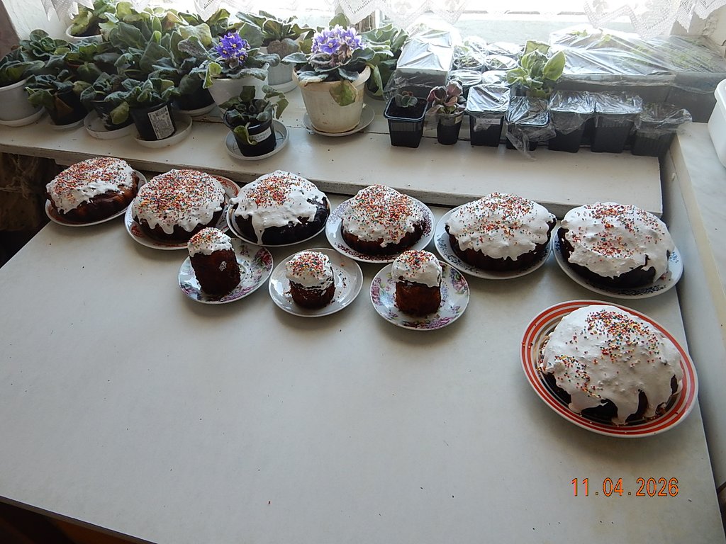 DSCN3207.JPG
