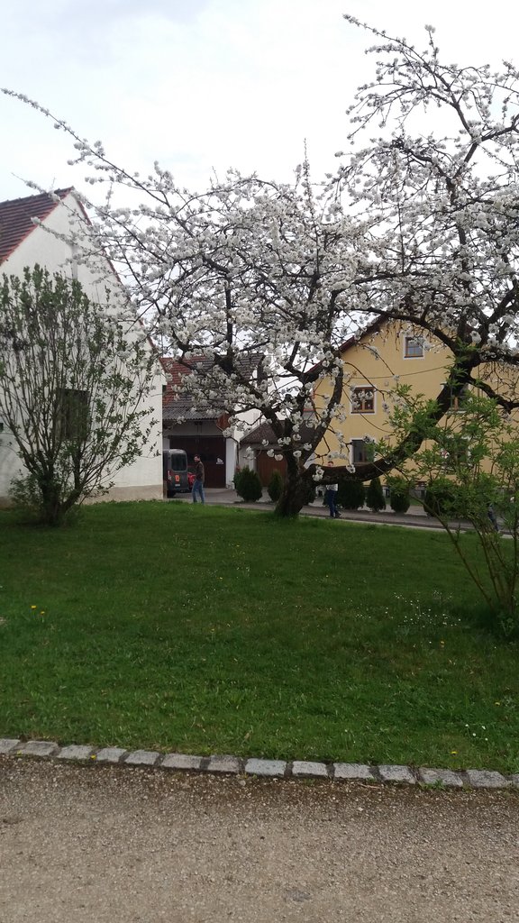 20260419_093600.jpg