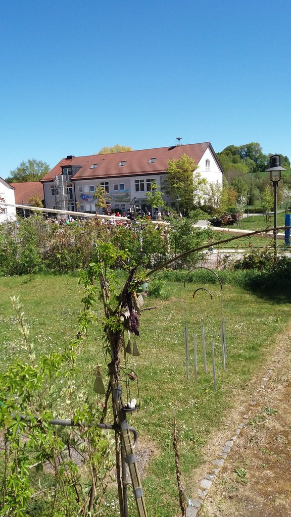 20260501_151824.jpg