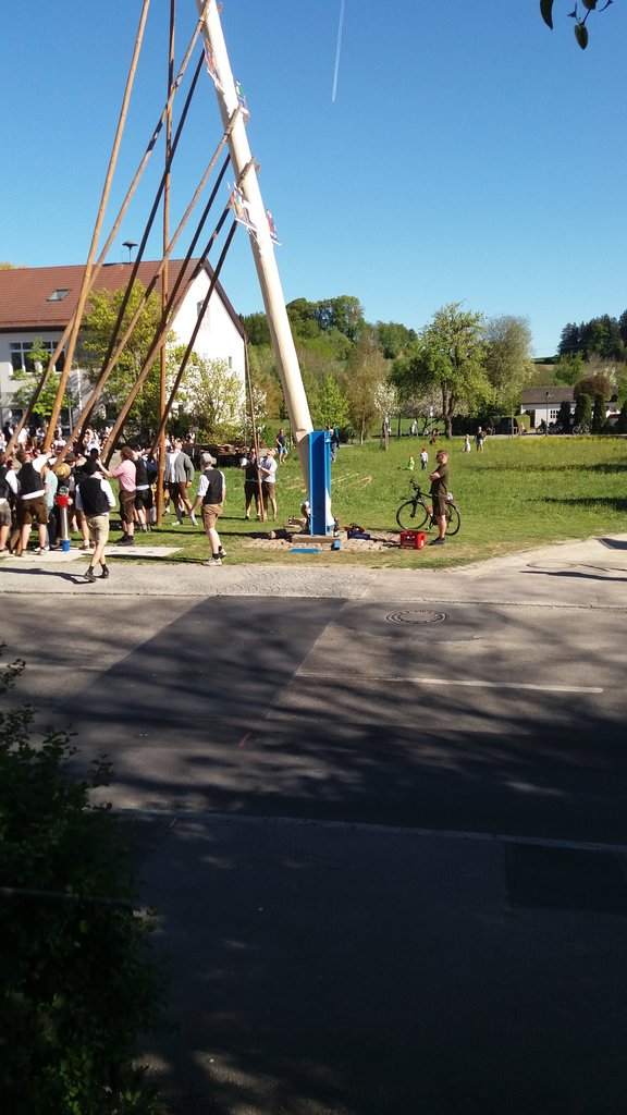 20260501_165208.jpg