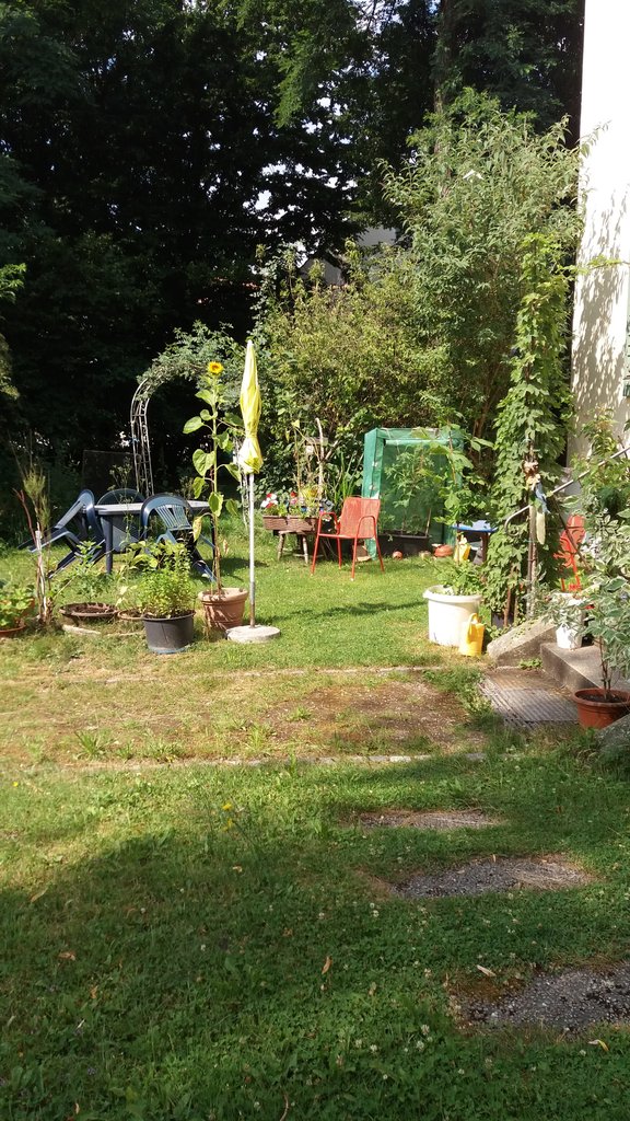 20250703_102532.jpg