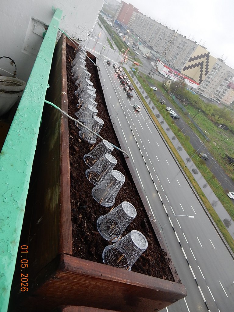 DSCN3247.JPG