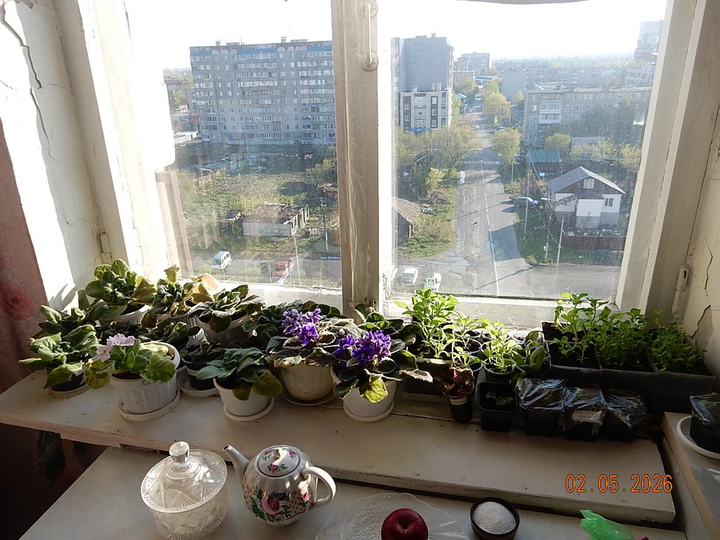 DSCN3250.JPG