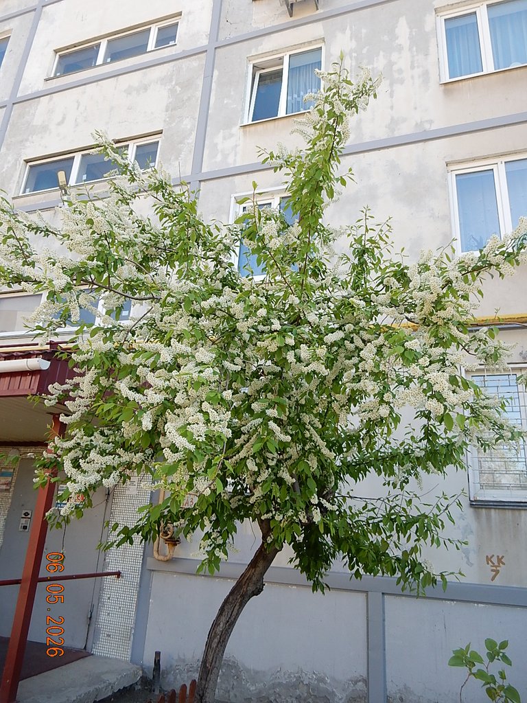 DSCN3251.JPG