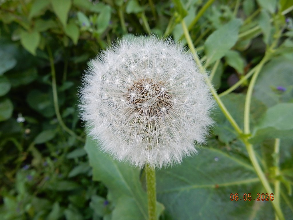 DSCN3252.JPG