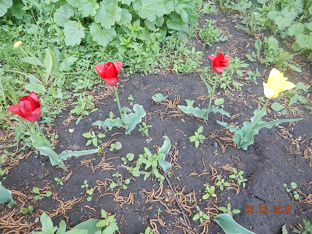 DSCN3253.JPG