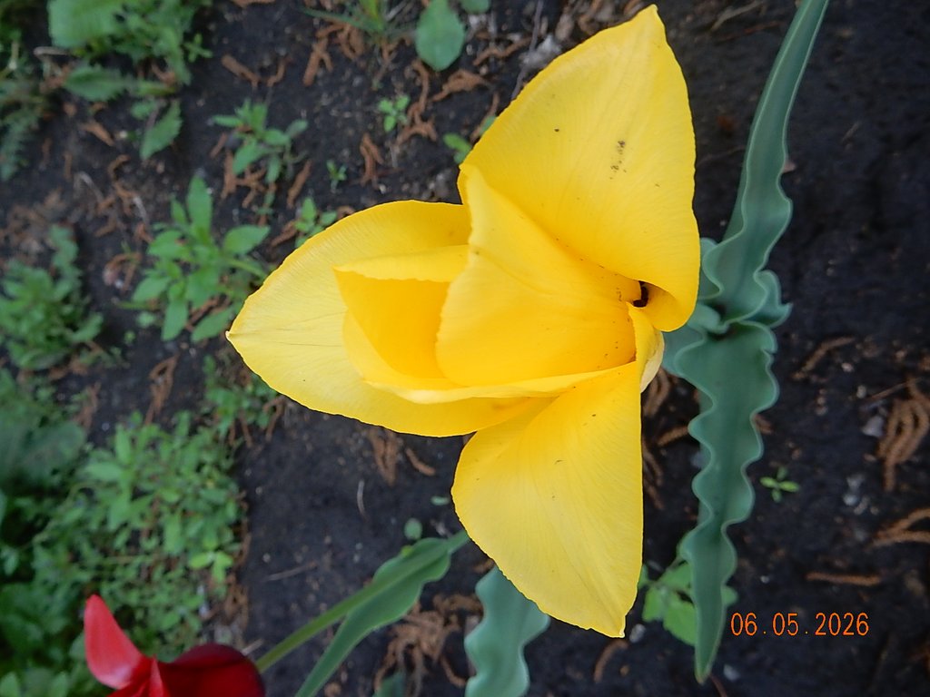 DSCN3254.JPG