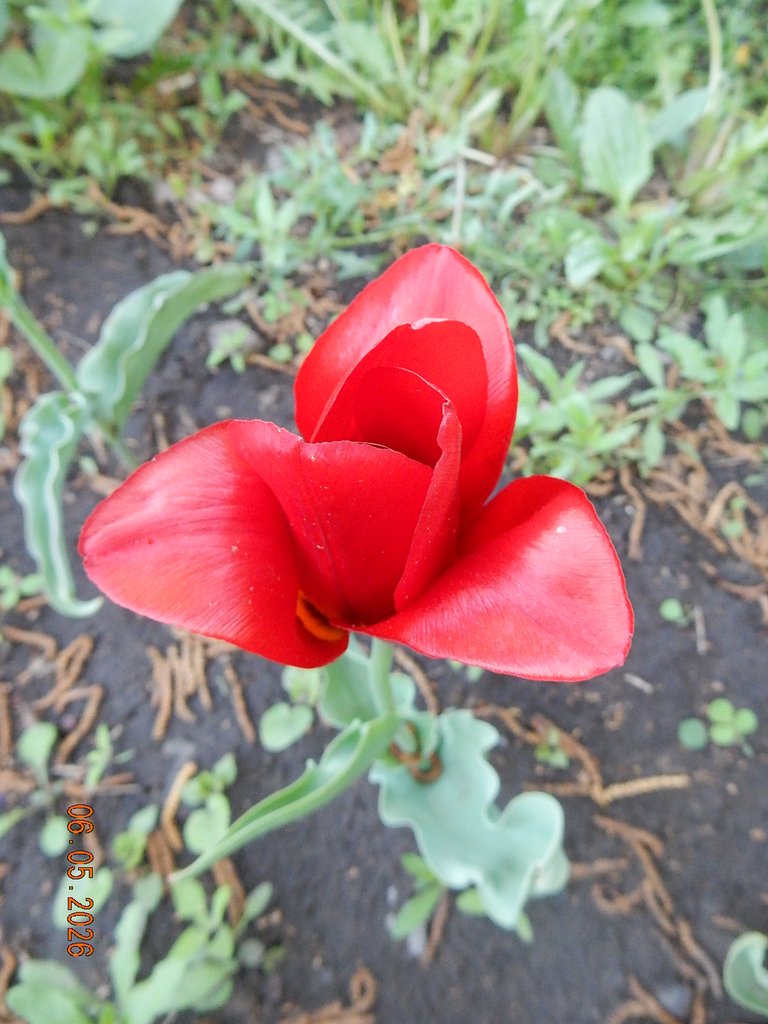 DSCN3255.JPG