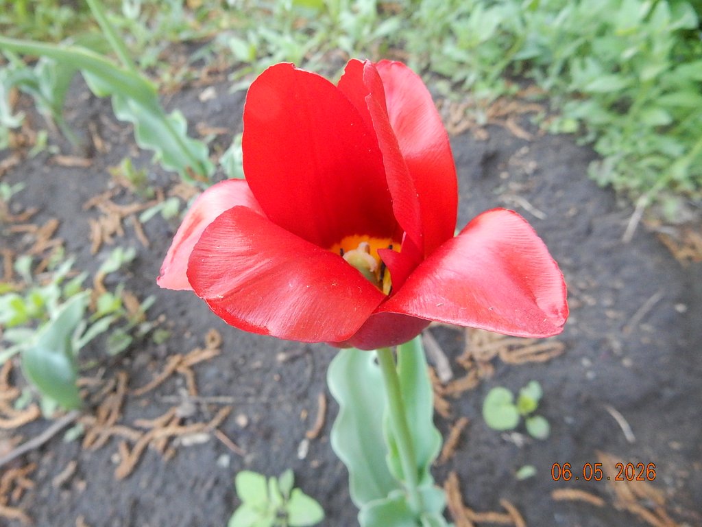 DSCN3256.JPG