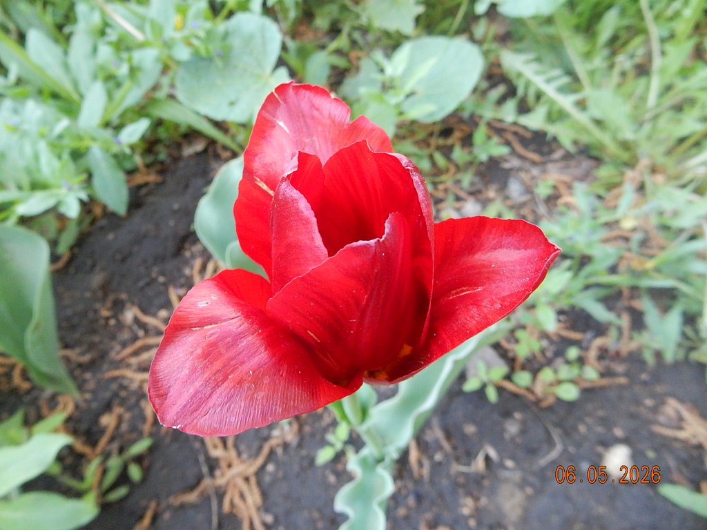 DSCN3257.JPG