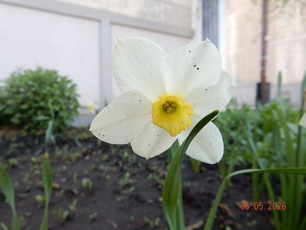 DSCN3260.JPG