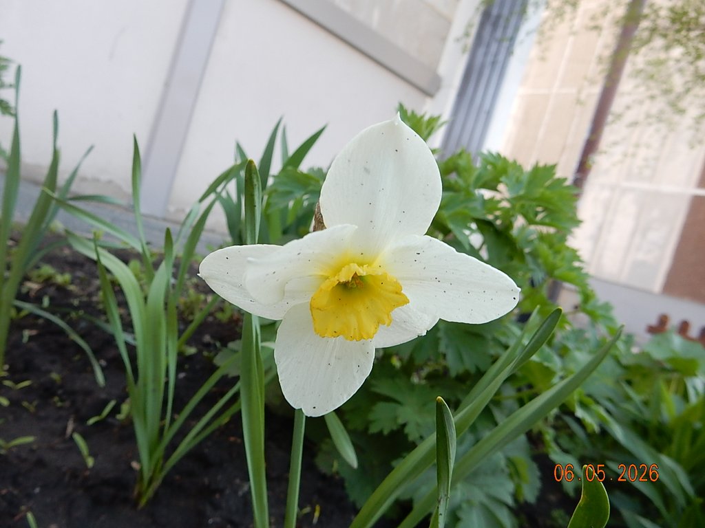 DSCN3261.JPG