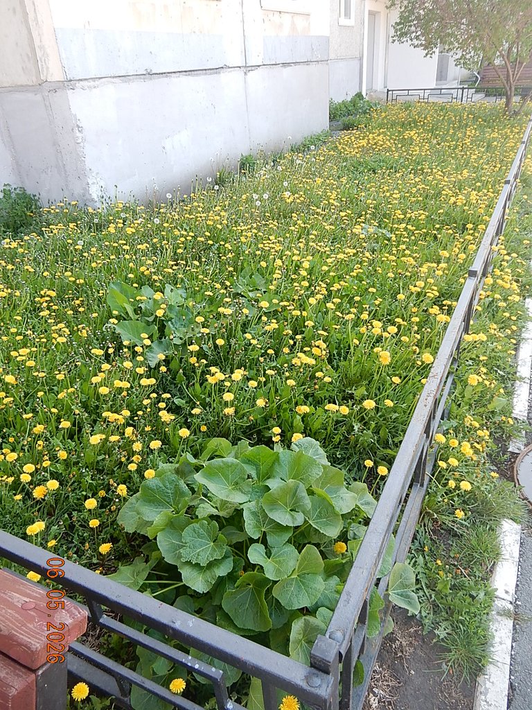 DSCN3262.JPG