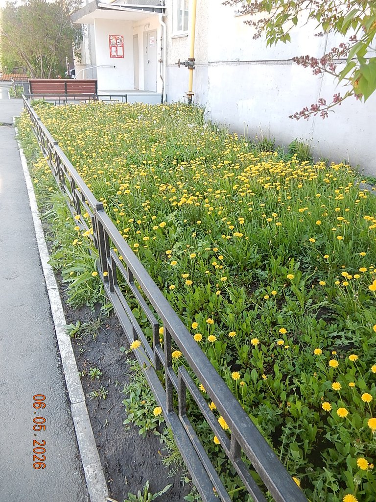 DSCN3263.JPG