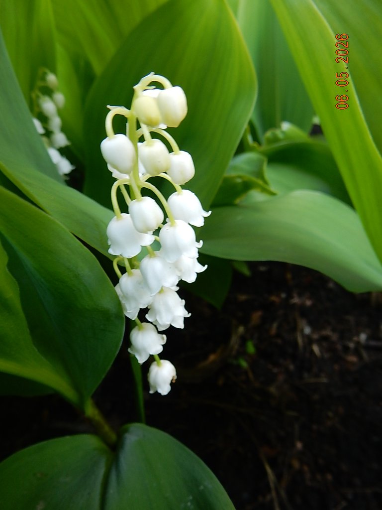 DSCN3264.JPG