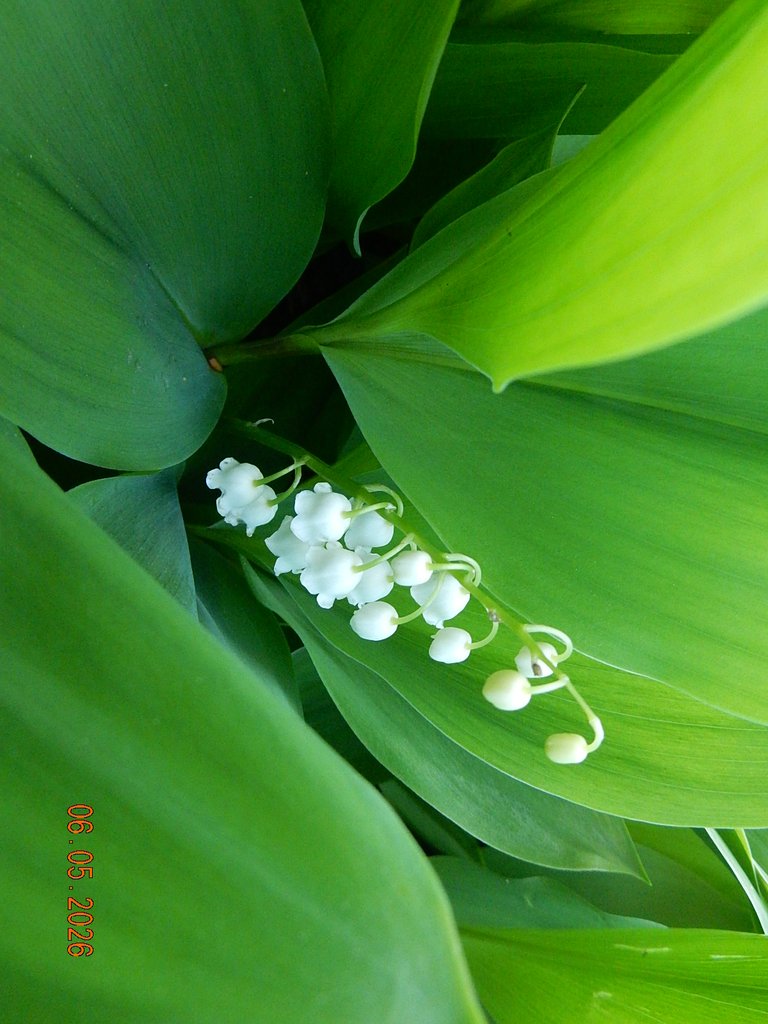 DSCN3267.JPG