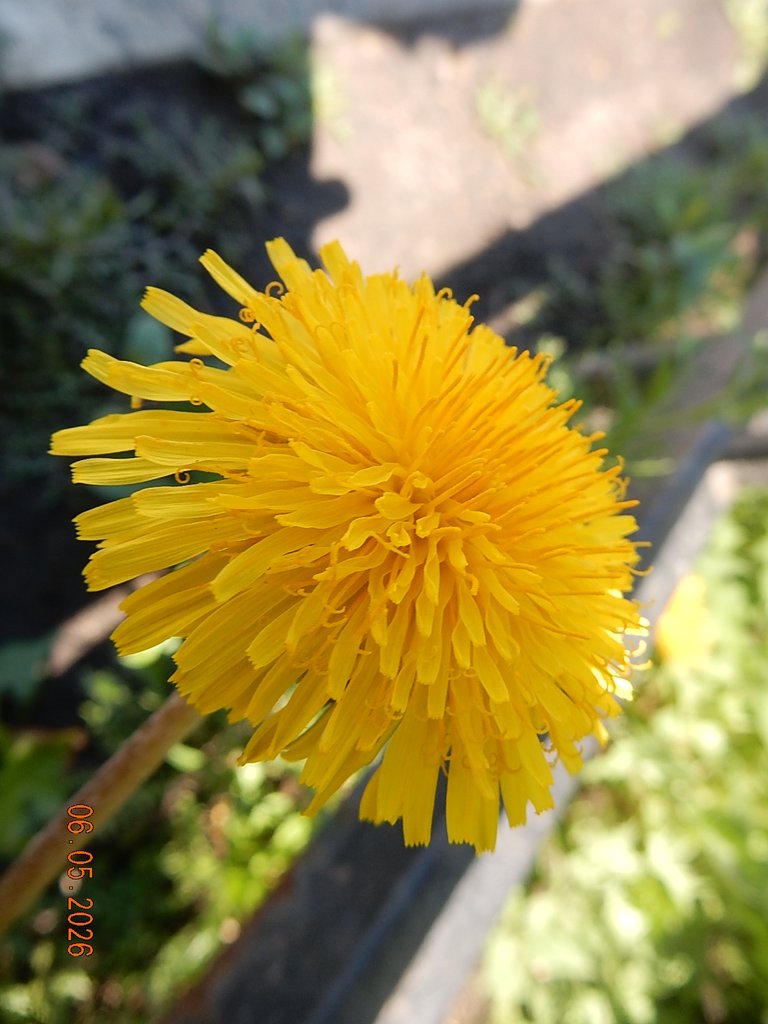 DSCN3269.JPG