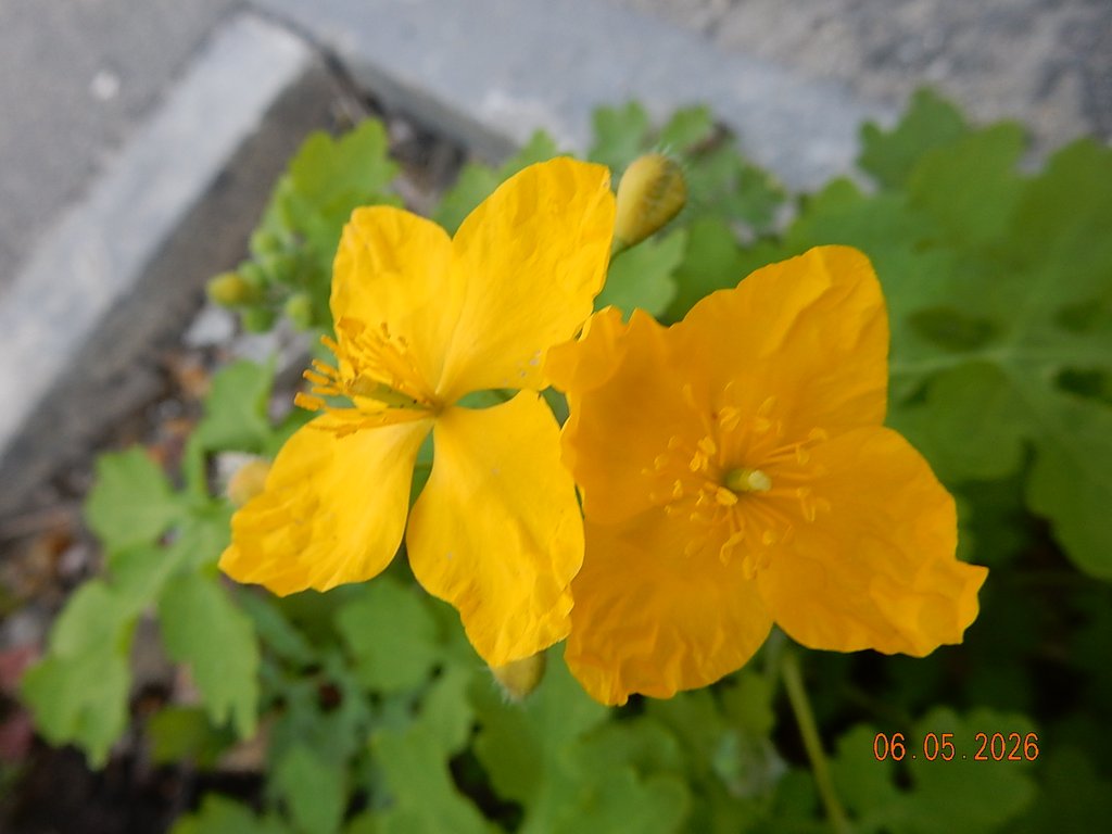 DSCN3271.JPG