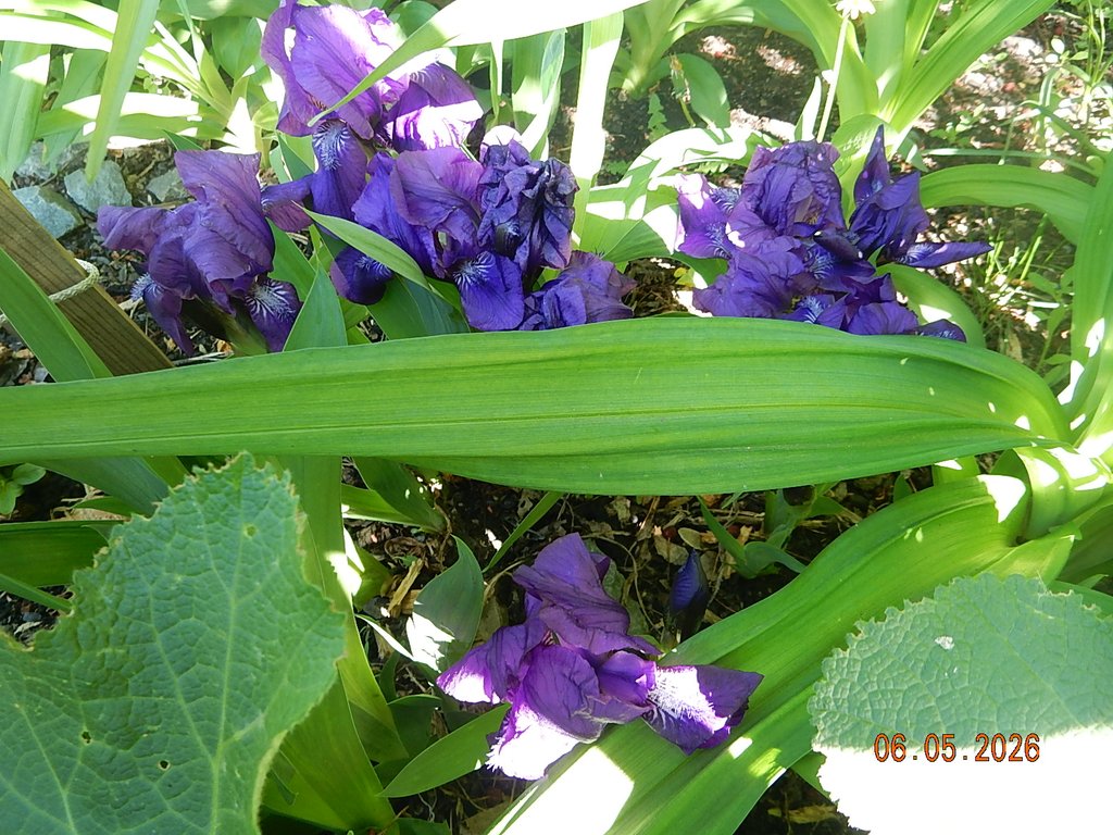 DSCN3272.JPG