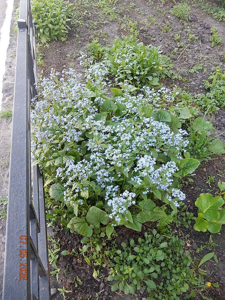 DSCN3273.JPG