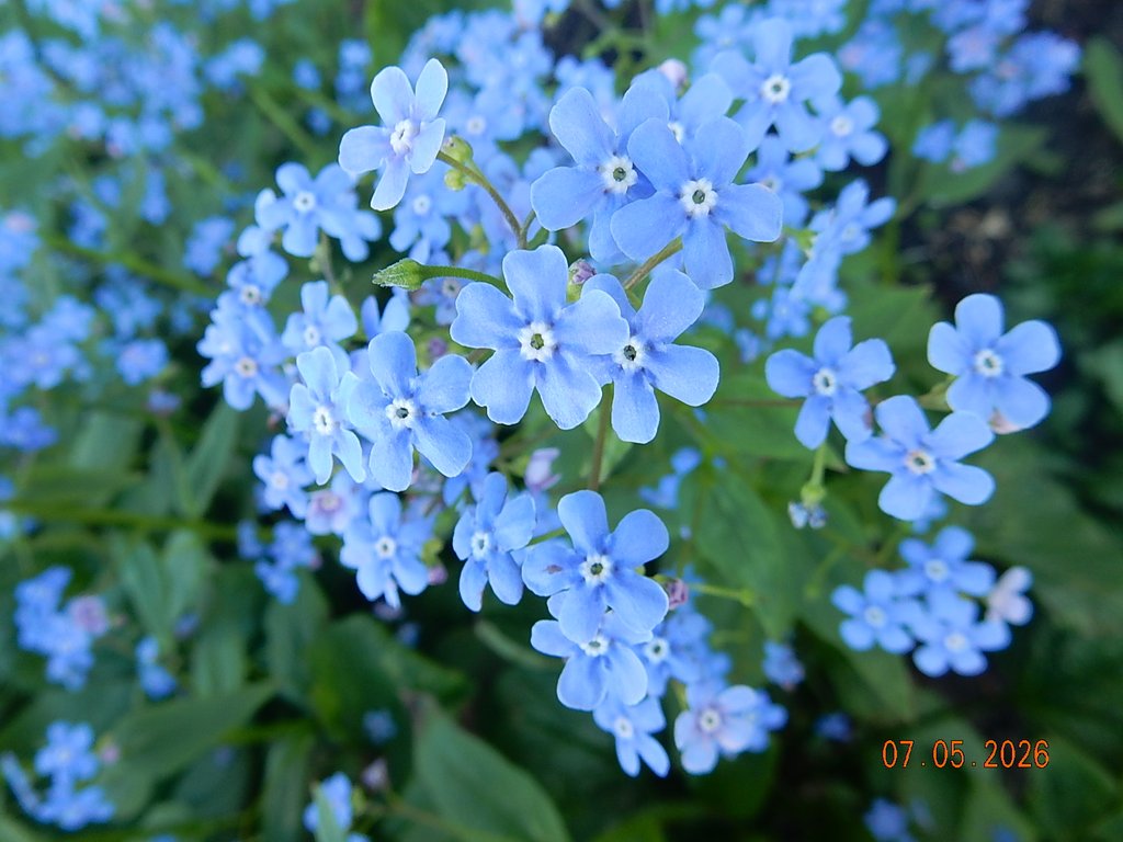 DSCN3274.JPG