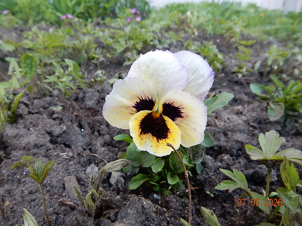 DSCN3276.JPG