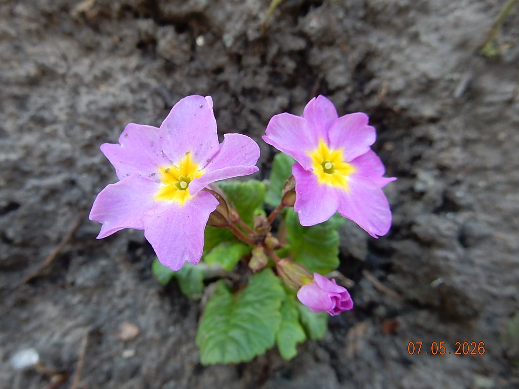 DSCN3277.JPG