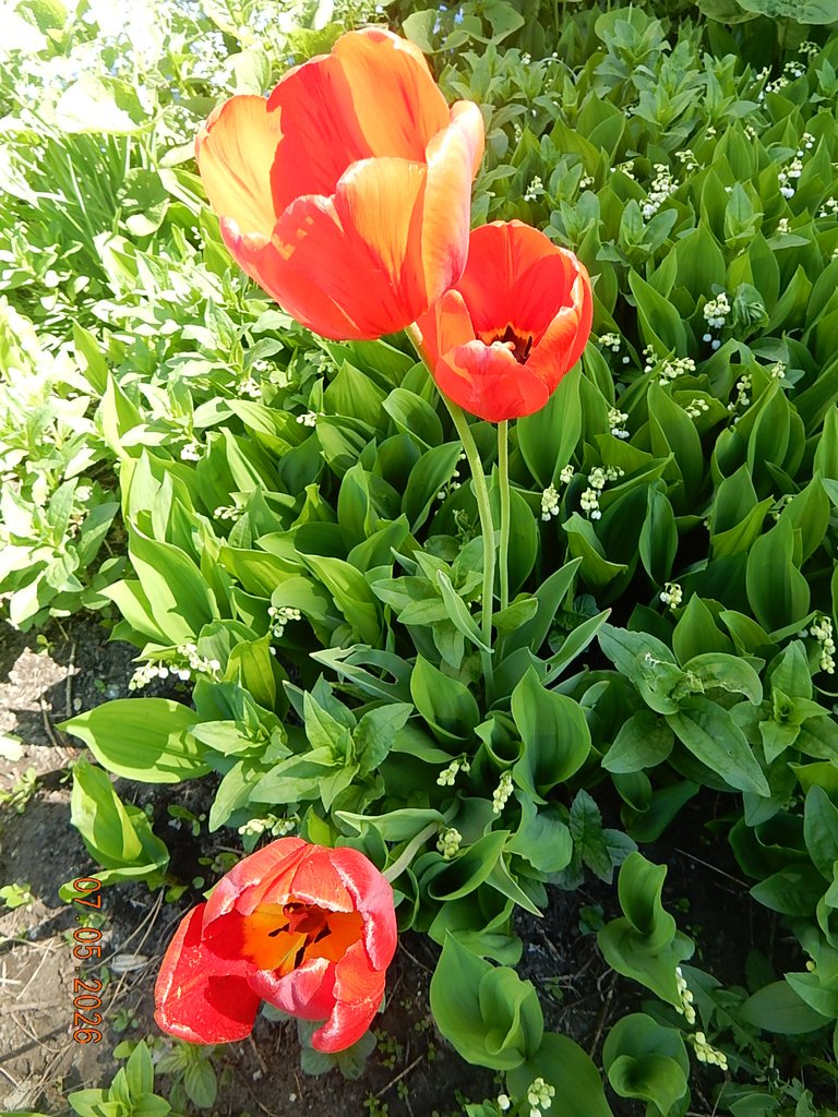 DSCN3278.JPG