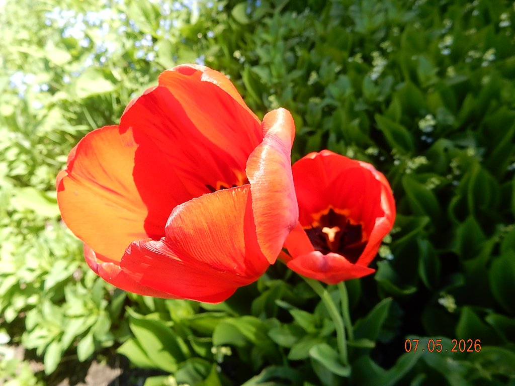 DSCN3279.JPG