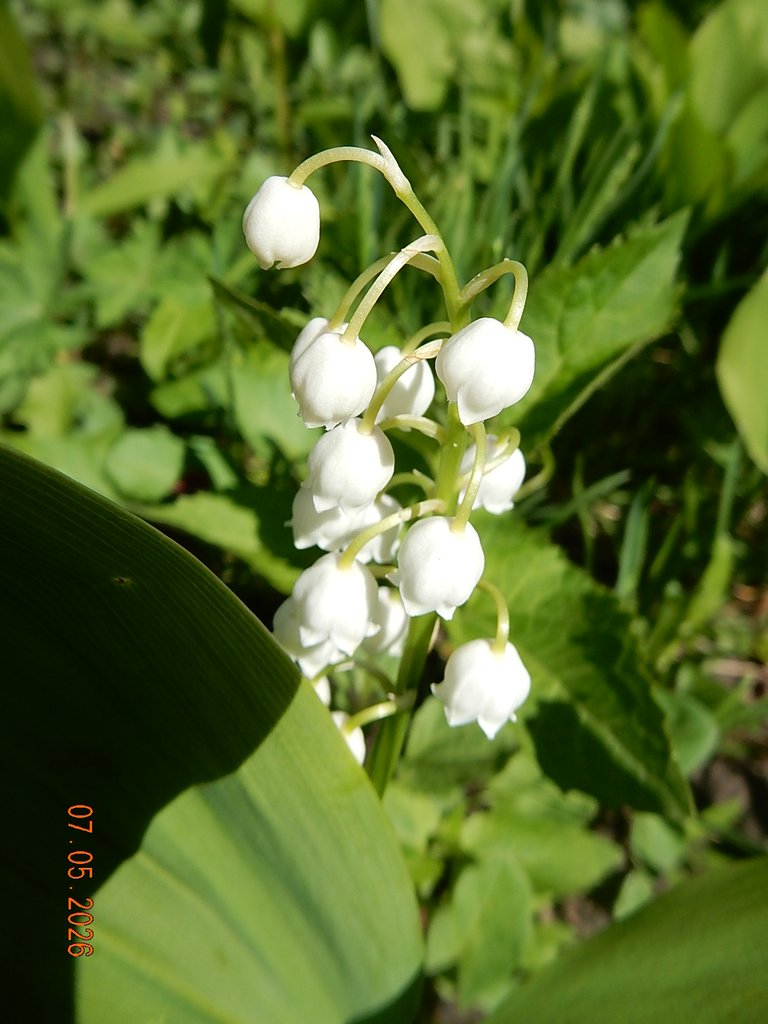 DSCN3280.JPG