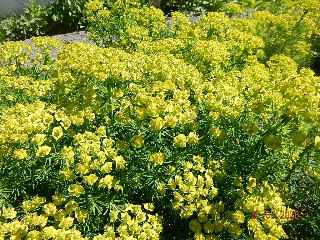 DSCN3281.JPG