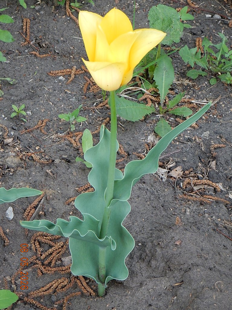 DSCN3282.JPG