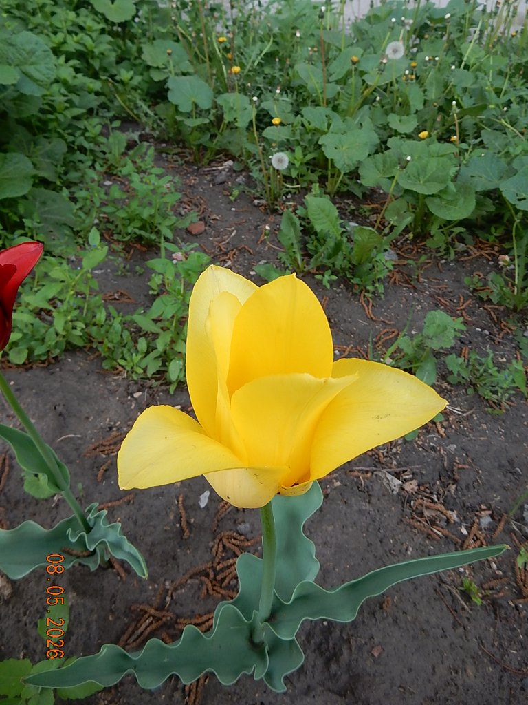 DSCN3283.JPG