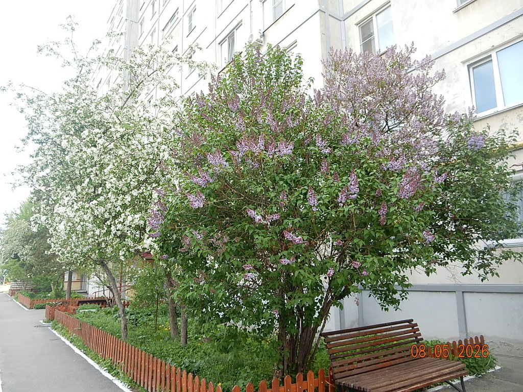 DSCN3284.JPG