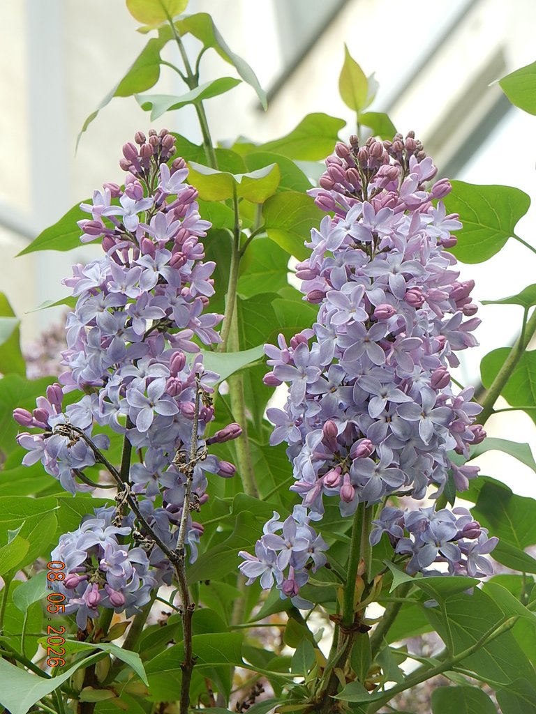 DSCN3286.JPG